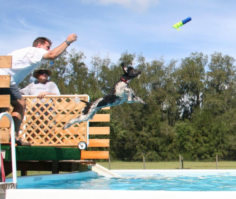 Tango learning Dock Diving